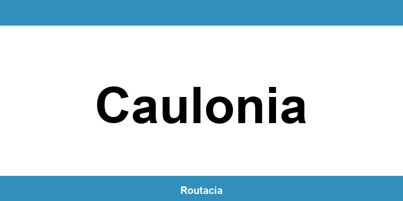 Delegazione ACI a Caulonia: contatti e orari