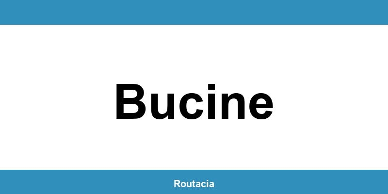 Delegazione ACI a Bucine: contatti e orari
