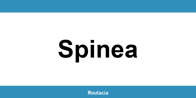 Delegazione ACI a Spinea: contatti e orari