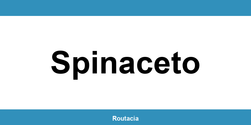 Delegazione ACI a Spinaceto: contatti e orari